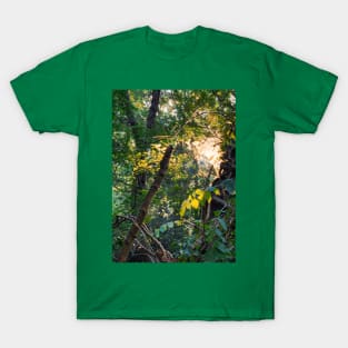 Branches T-Shirt